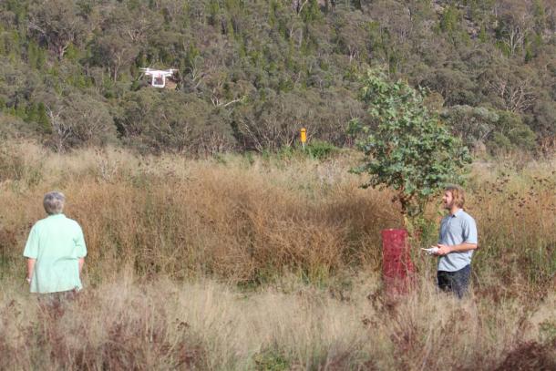 Video: Fish habitat restoration on the Murray-Darling